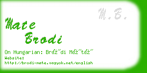 mate brodi business card